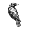 🤩 Эмодзи «Шампнская символика» для Telegram