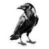 🤩 Эмодзи «Шампнская символика» для Telegram