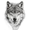 🤩 Эмодзи «Шампнская символика» для Telegram