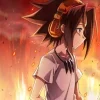 Стикер 43 Shaman King Matching