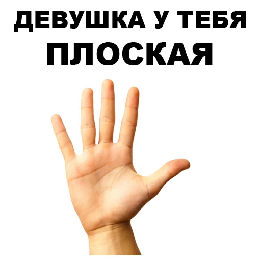🤚 Стикер «Земля круглая или плоская???» для Telegram