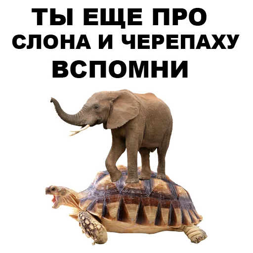🐘 Стикер «Земля круглая или плоская???» для Telegram