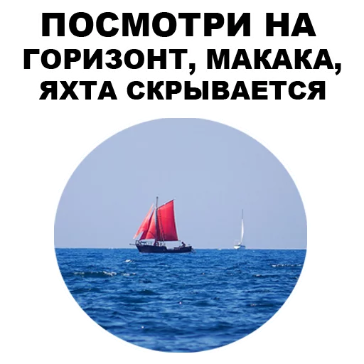 🙁 Стикер «Земля круглая или плоская???» для Telegram