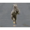 Стикер 29 Sheeps