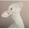 Стикер 58 Sheeps