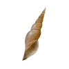 Стикер 49 Shells