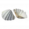 Стикер 51 Shells