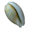 Стикер 60 Shells