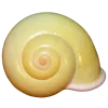 Стикер 17 Shells