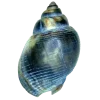 Стикер 47 Shells
