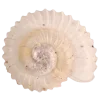Стикер 9 Shells
