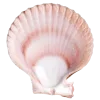 Стикер 39 Shells