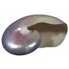 Стикер 54 Shells