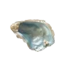 Стикер 31 Shells