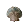 Стикер 25 Shells