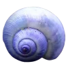 Стикер 6 Shells