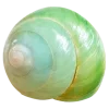 Стикер 15 Shells