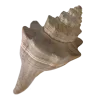 Стикер 34 Shells
