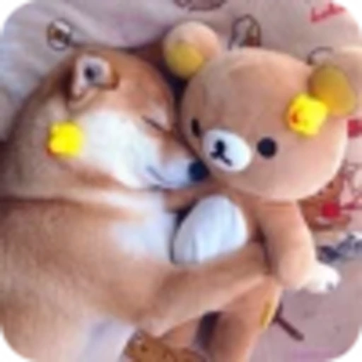 🌟 Эмодзи «𝘚𝘩𝘪𝘣𝘢 𝘐𝘯𝘶 🍯» для Telegram