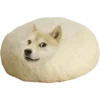 Стикер 4 Shibainydogefb
