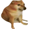 Стикер 41 Shibainydogefb