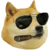 Стикер 21 Shibainydogefb