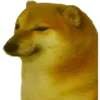 Стикер 33 Shibainydogefb