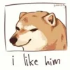 Стикер 29 Shibainydogefb