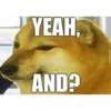Стикер 38 Shibainydogefb