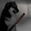 Стикер 25 Shibainydogefb
