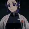 Стикер 11 Shinobu Kocho