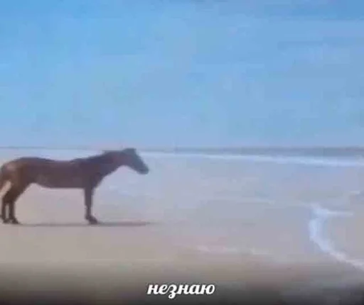 😢 Стикер «Шось дивне ч3» для Telegram