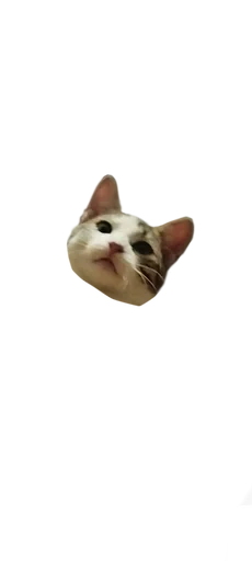 😺 Стикер «Шось дивне ч3» для Telegram