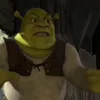 Стикер 25 Shrek