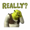 Стикер 13 Shrek