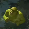 Стикер 20 Shrek
