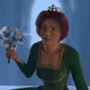 Стикер 37 Shrek