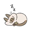 Стикер 29 Siamese Cat Lil