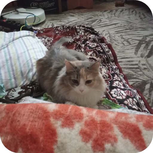 🐱 Стикер «Ⳑυⲛⲛ - перерисовка ванильки в другом цветокоре» для Telegram