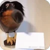 Стикер 7 Скебоб