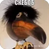 Стикер 11 Скебоб