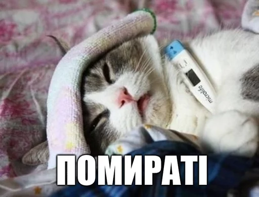 Стикерпак Коты-Украинцы для Telegram