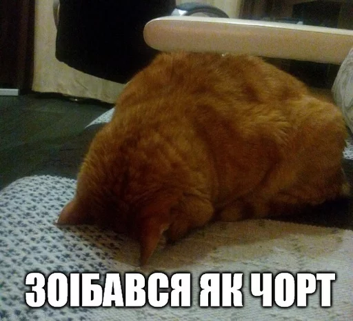 ☹ Стикер «Коты-Украинцы» для Telegram