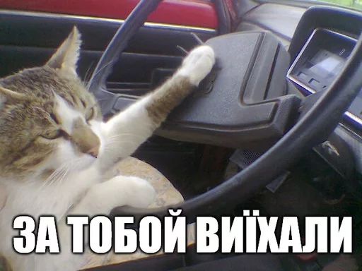 😢 Стикер «Коты-Украинцы» для Telegram