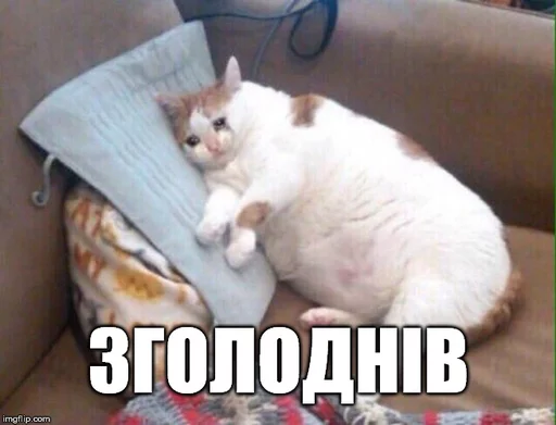 🙊 Стикер «Коты-Украинцы» для Telegram