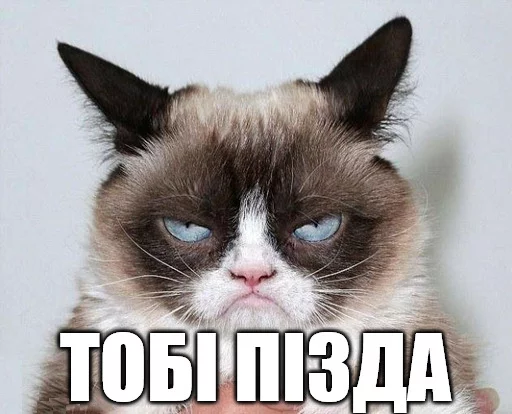 😀 Стикер «Коты-Украинцы» для Telegram