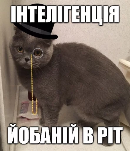 👍 Стикер «Коты-Украинцы» для Telegram