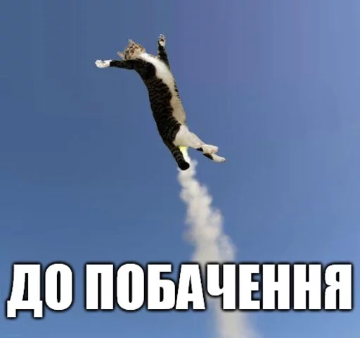 😁 Стикер «Коты-Украинцы» для Telegram