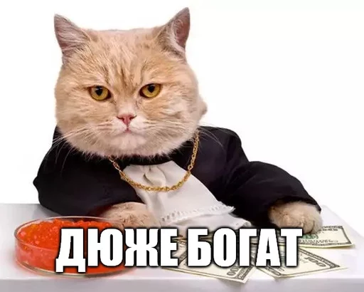 😌 Стикер «Коты-Украинцы» для Telegram