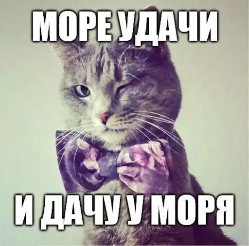 😚 Стикер «Коты-Украинцы» для Telegram